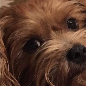 Meet your Posher, Jane